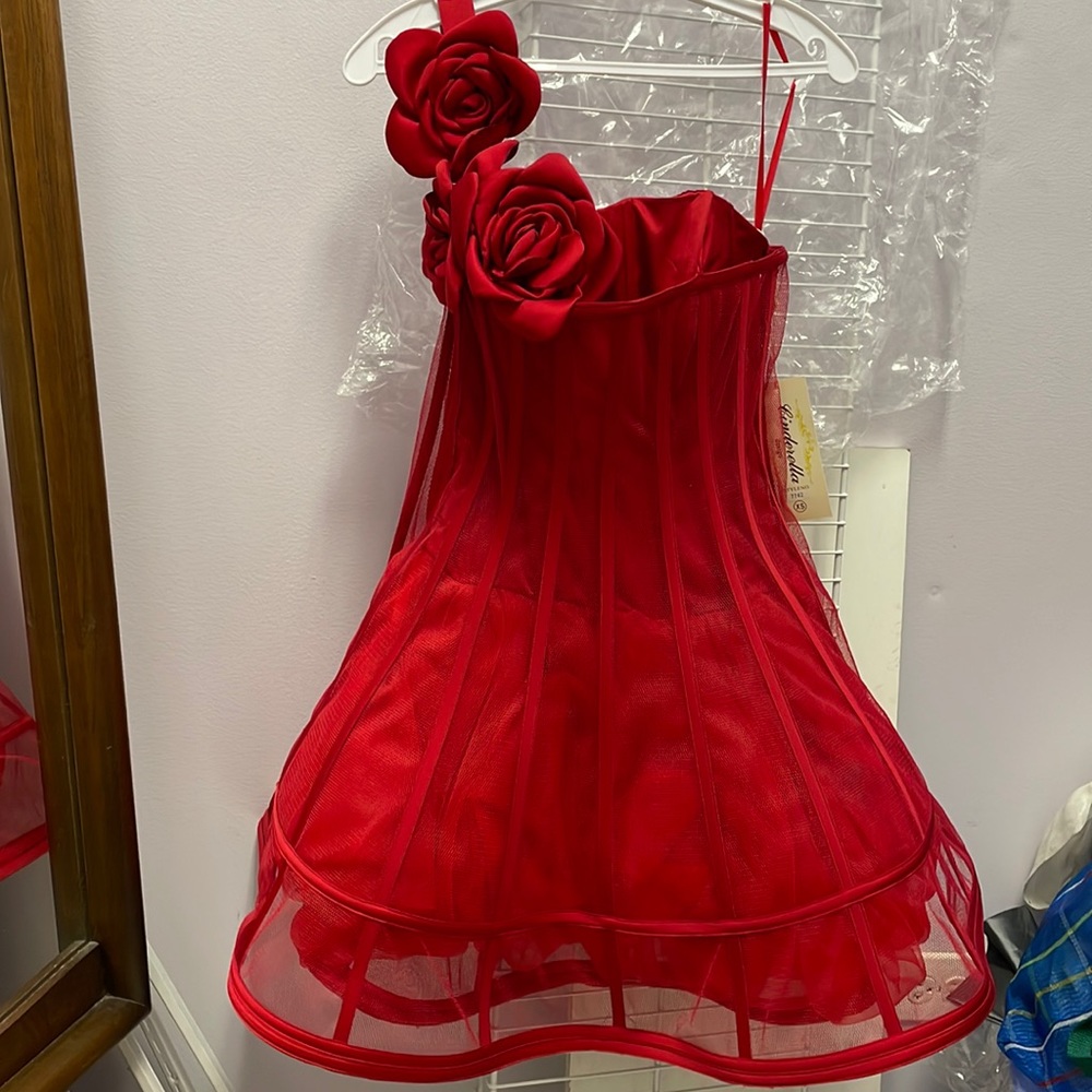 Cinderella design short red rose dress